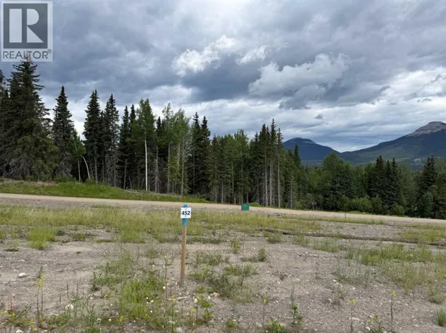 452 LILY Avenue, Nordegg, Alberta T0M2H0