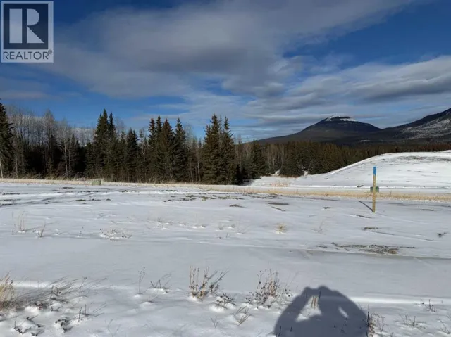 428 LILY Avenue, Nordegg, Alberta T0M2H0