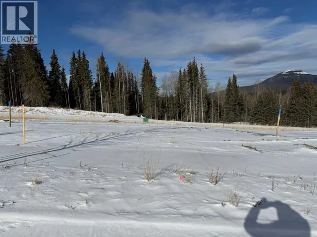 444 LILY Avenue, Nordegg, Alberta T0M2H0