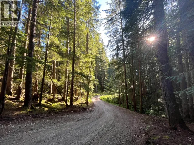 769 Beech Road, Nakusp, British Columbia V0G1R1