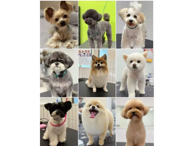 103 14390 64 AVENUE, Surrey, British Columbia V3W1Z1