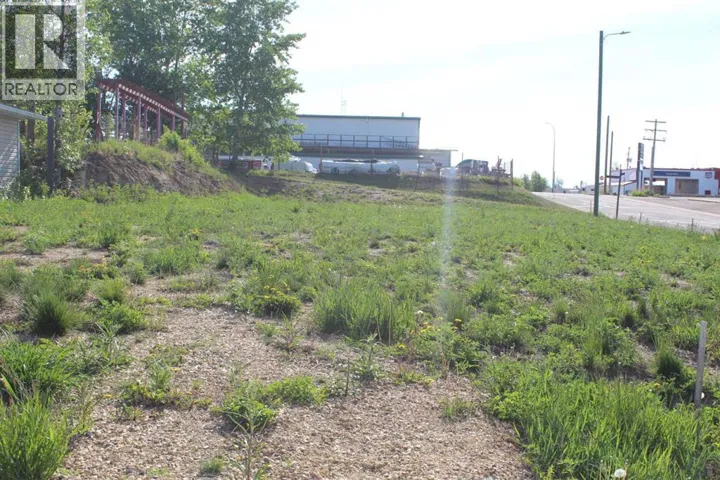 202 4th Avenue, Manning, Alberta T0H2M0