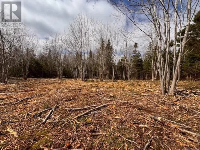 Lot KL-2 Walker Street, Lake Echo, Nova Scotia B2Z1M9