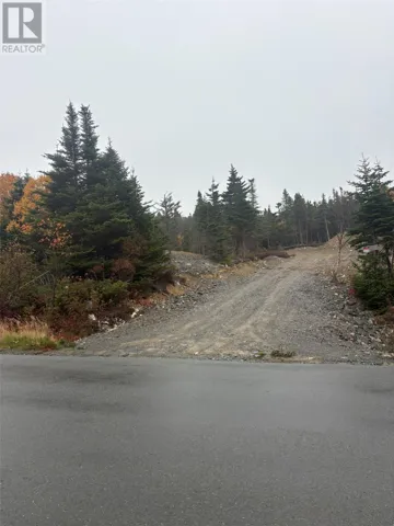 95-97 Deans Road, Witless Bay, Newfoundland & Labrador A0A4K0
