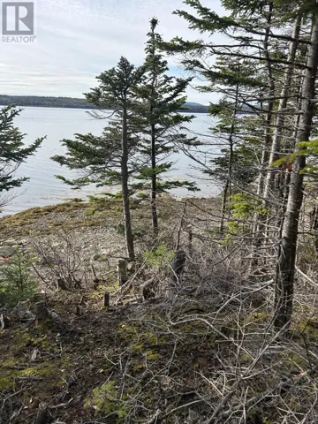 Lot #2, Route 232 Smith Sound Road, HARCOURT, Newfoundland & Labrador A5A3A1