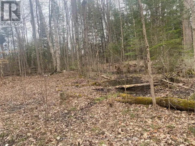 00 COUNTY RD 44 ROAD, North Grenville, Ontario K0E1X0