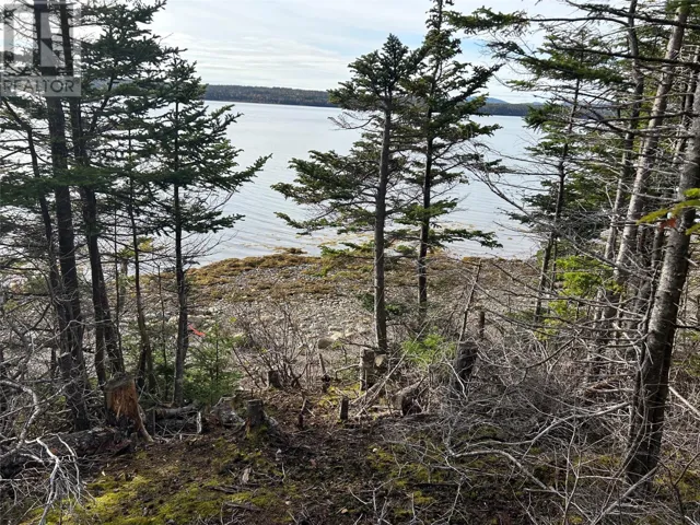 Lot # 03 SMITH SOUND Road, HARCOURT, Newfoundland & Labrador A5A3A1