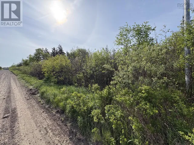 Lot 2 Shore Road, Ogilvie, Nova Scotia B0P1E0