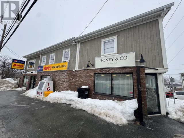 311 Hamilton Avenue, St. John's, Newfoundland & Labrador A1E1J8