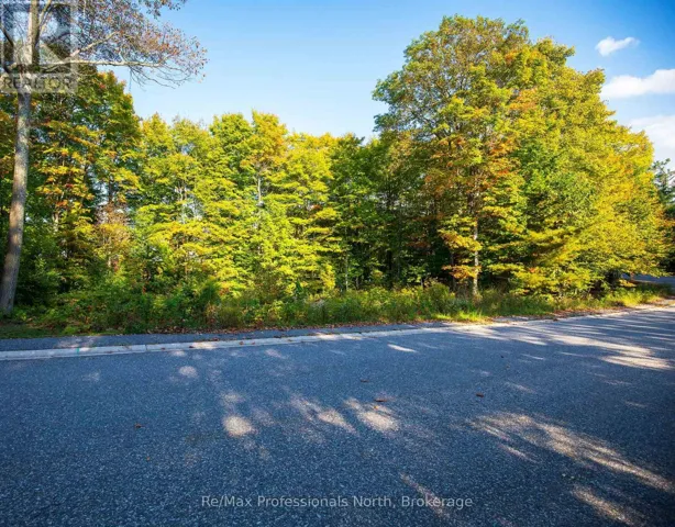 24 ESTATE DRIVE, Muskoka Lakes (Medora), Ontario P0B1J0