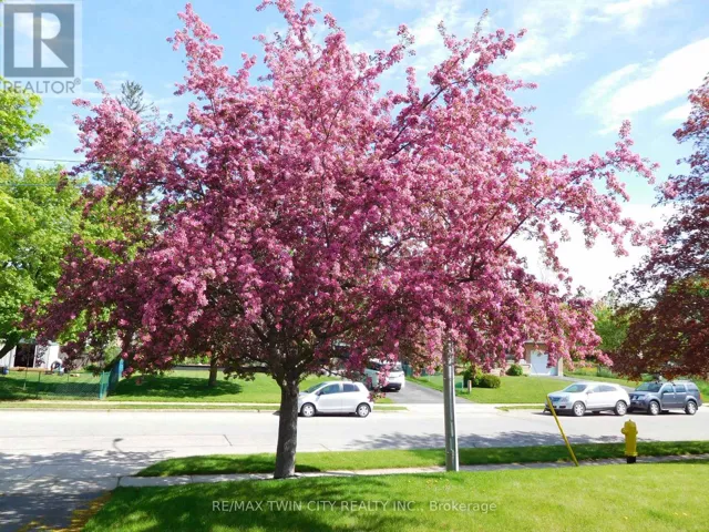 1166 HOMUTH AVENUE, Cambridge, Ontario N3H2C7