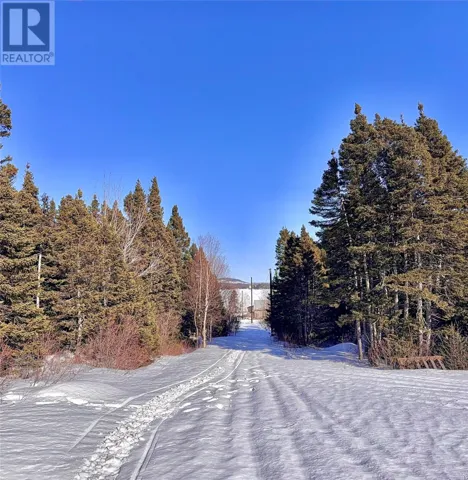 5 THORBURN LAKE Road, THORBURN LAKE, Newfoundland & Labrador A0C2G0