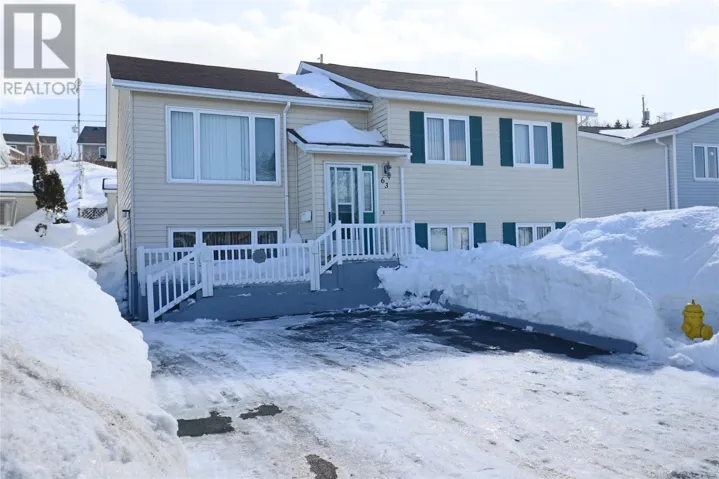 63 Neptune Road, St. John's, Newfoundland & Labrador A1B4J2