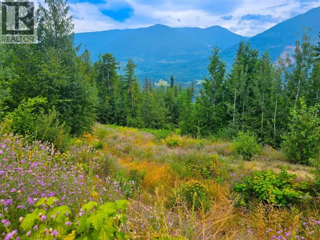 421 MOUNTAIN VIEW Drive, Balfour, British Columbia V1L0A7