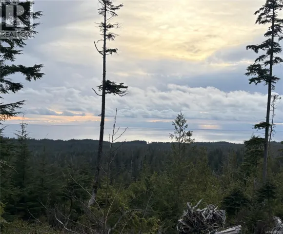 0 Michigan Main Rd, Bamfield, British Columbia V0R1B0