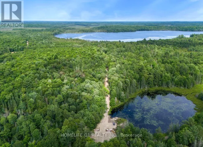 15 AXE LAKE ROAD, McMurrich/Monteith (McMurrich), Ontario P0A1Y0