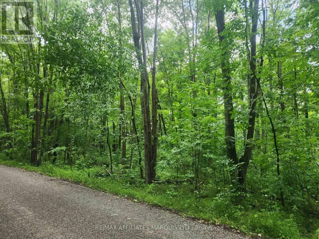 000 CEDAR SANDS ROAD WAY, Rideau Lakes, Ontario K0E1N0