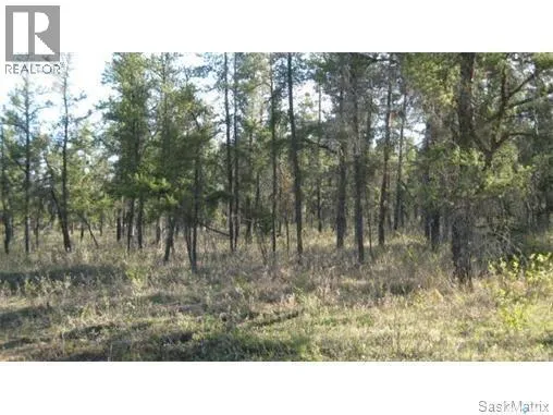 Rec lot 4/2, Hudson Bay Rm No. 394, Saskatchewan S0E0Y0