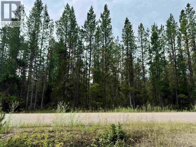LOT 8 PINE ROAD, Valemount, British Columbia V0Z2Z0