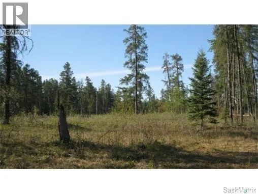 Rec Lot 5 Blk 2, Hudson Bay Rm No. 394, Saskatchewan S0E0Y0