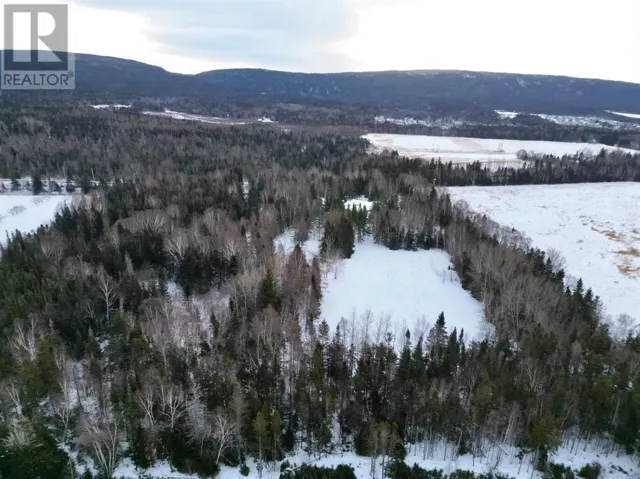 97 C Main Street, PASADENA, Newfoundland & Labrador a0L1K0