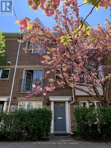 LOWER - 27 PEAR TREE MEWS, Toronto (Dovercourt-Wallace Emerson-Junction), Ontario M6P4H2