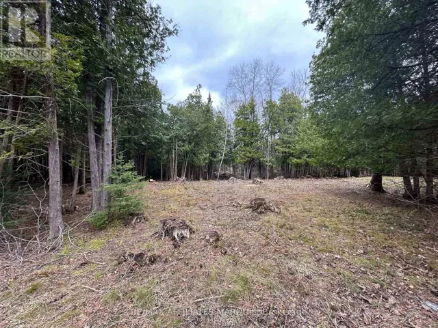 00 SNOWDONS CORNERS ROAD, Merrickville-Wolford, Ontario K0G1N0