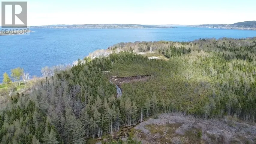 0 Sandy Point Road, Norris Arm, Newfoundland & Labrador A0G3M0