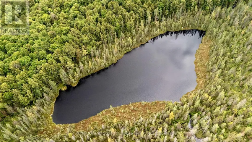 372 MCDOUGALL ROAD, McDougall, Ontario P2A0B3