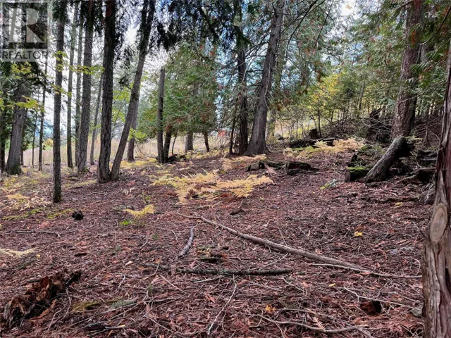 Columbia Drive Lot# 138, Anglemont, British Columbia V0E1M8