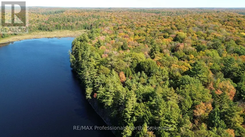 LOT 9 & 10 CONCESSION 5, Lake of Bays (Mclean), Ontario P0B1A0