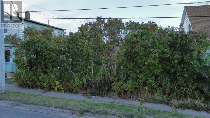 Swan Street, Sydney, Nova Scotia B1N2L9