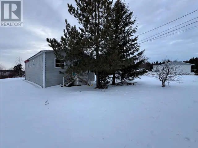 7 Spruce Lane, Birchy Bay, Newfoundland & Labrador A0G1E0