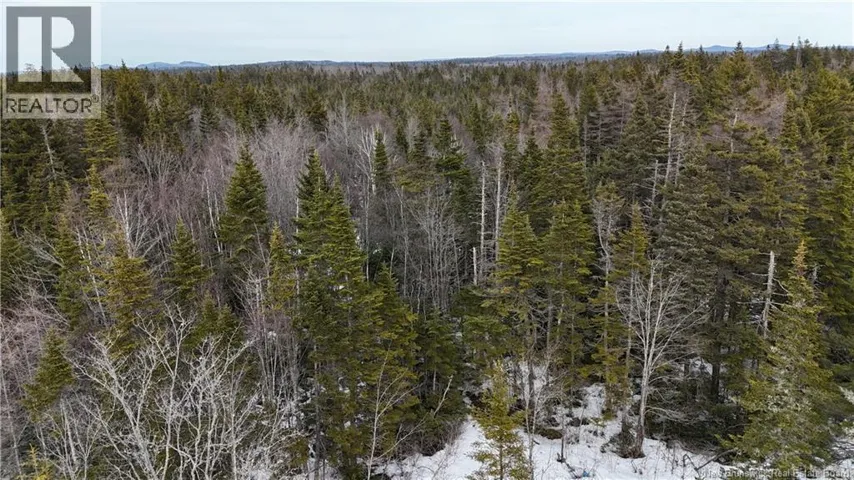 Goldsworthy Road, Black River, New Brunswick E2J4V1