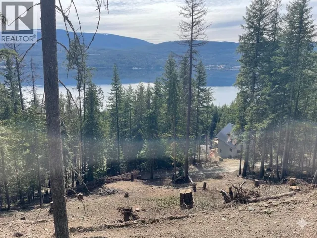 2401 Vickers Trail, Anglemont, British Columbia V0E1M8