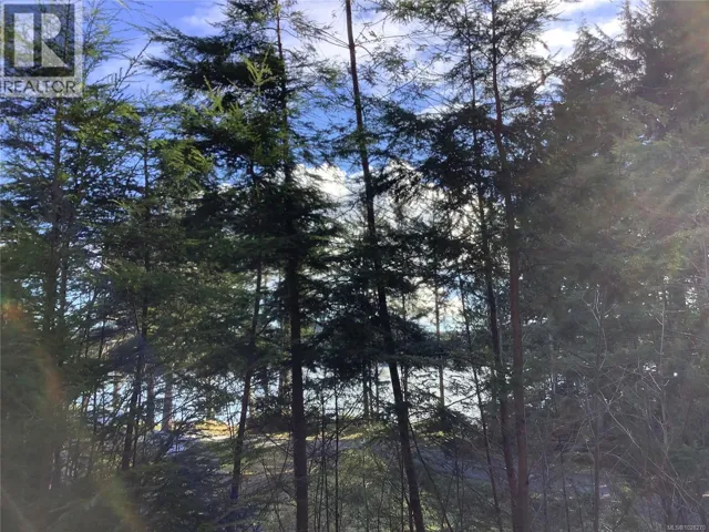 1 1st St, Sointula, British Columbia V0N3E0