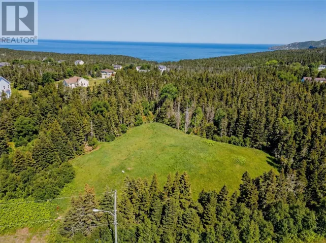 1 Sallesnik Lane, Torbay, Newfoundland & Labrador A1K0B4