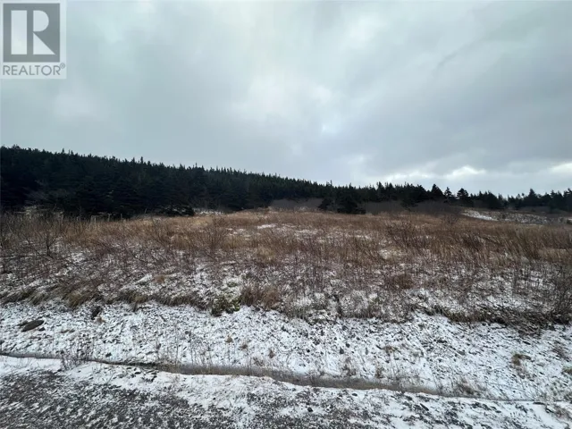 6B Top Road, Branch, Newfoundland & Labrador A0B1E0