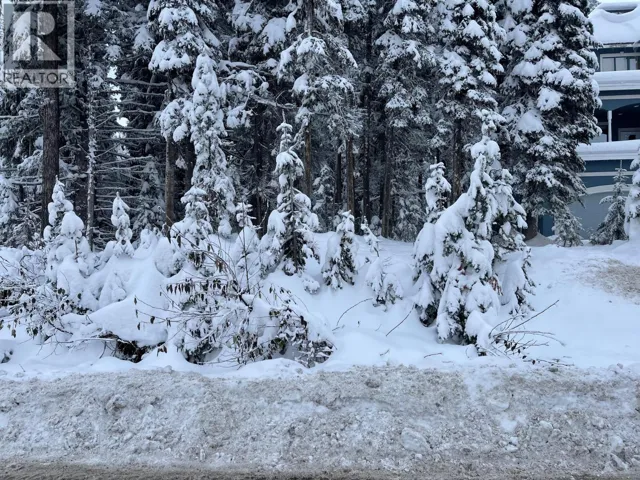 555 Monashee Road, Silver Star, British Columbia V1B3M1