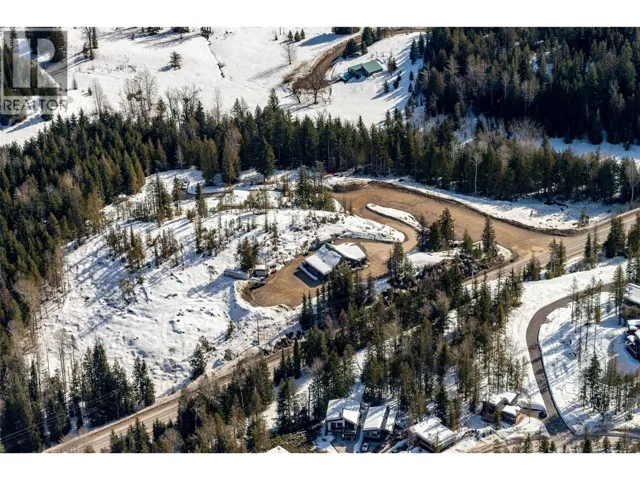 3052 Nancy Greene Highway, Rossland, British Columbia V0G1Y0