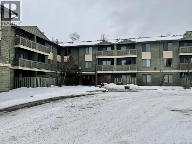 185 Chamberlain Crescent Unit# 204, Tumbler Ridge, British Columbia V0C2W0