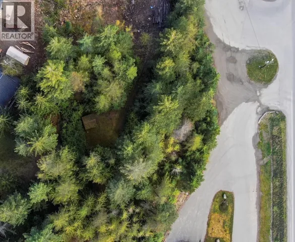 BALFOUR Avenue Lot# LOT 8, Kaslo, British Columbia V0G1M0
