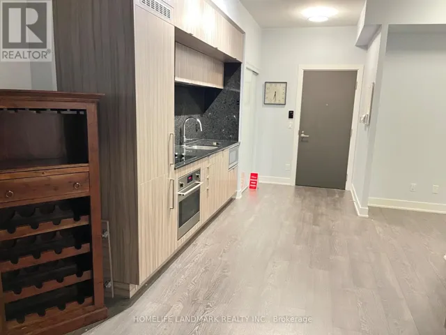 1101 - 38 CAMERON STREET, Toronto (Kensington-Chinatown), Ontario M5T0C3