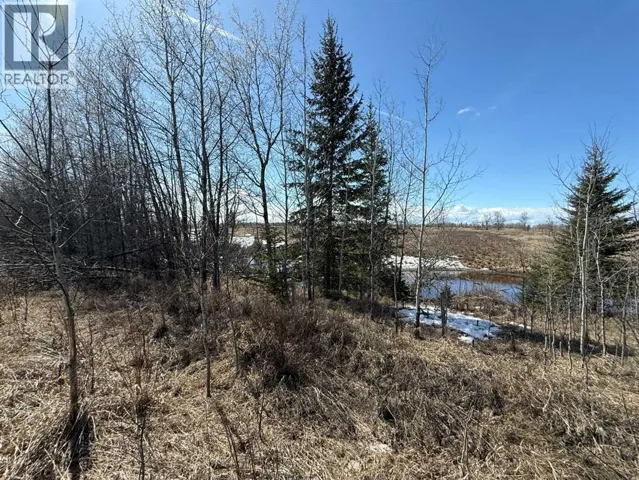 Lot 4 Canyon Road, Athabasca, Alberta T9S1B4