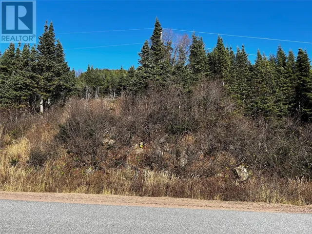 161471 Northern Brook Road, Red Bay, Newfoundland & Labrador A0K4K0