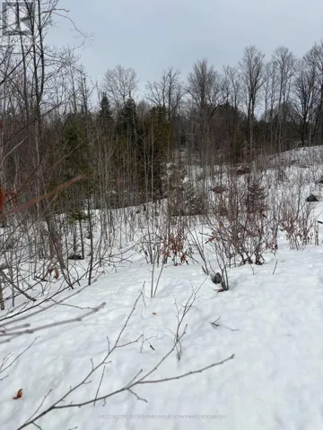 LOT 0 COUNTY ROAD 38, Frontenac (Frontenac Centre), Ontario K0H2P0