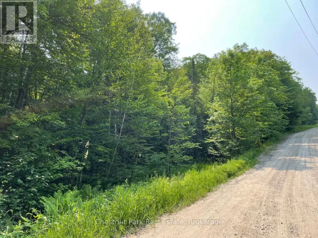 0 COLEMAN LAKE ROAD, Dysart et al (Guilford), Ontario K0M1S0