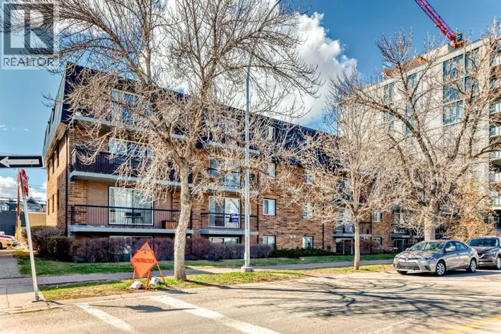 201, 315 9A Street, Calgary, Alberta T2N1T7