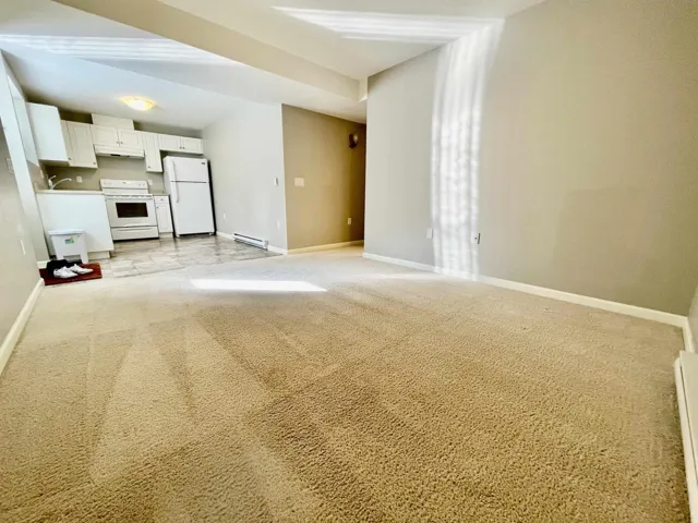 Basement 790x 211B STREET, Langley, British Columbia V2Y0H3