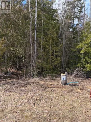 11 LAKESIDE WOODS CRESCENT, Saugeen Shores, Ontario N0H2C0